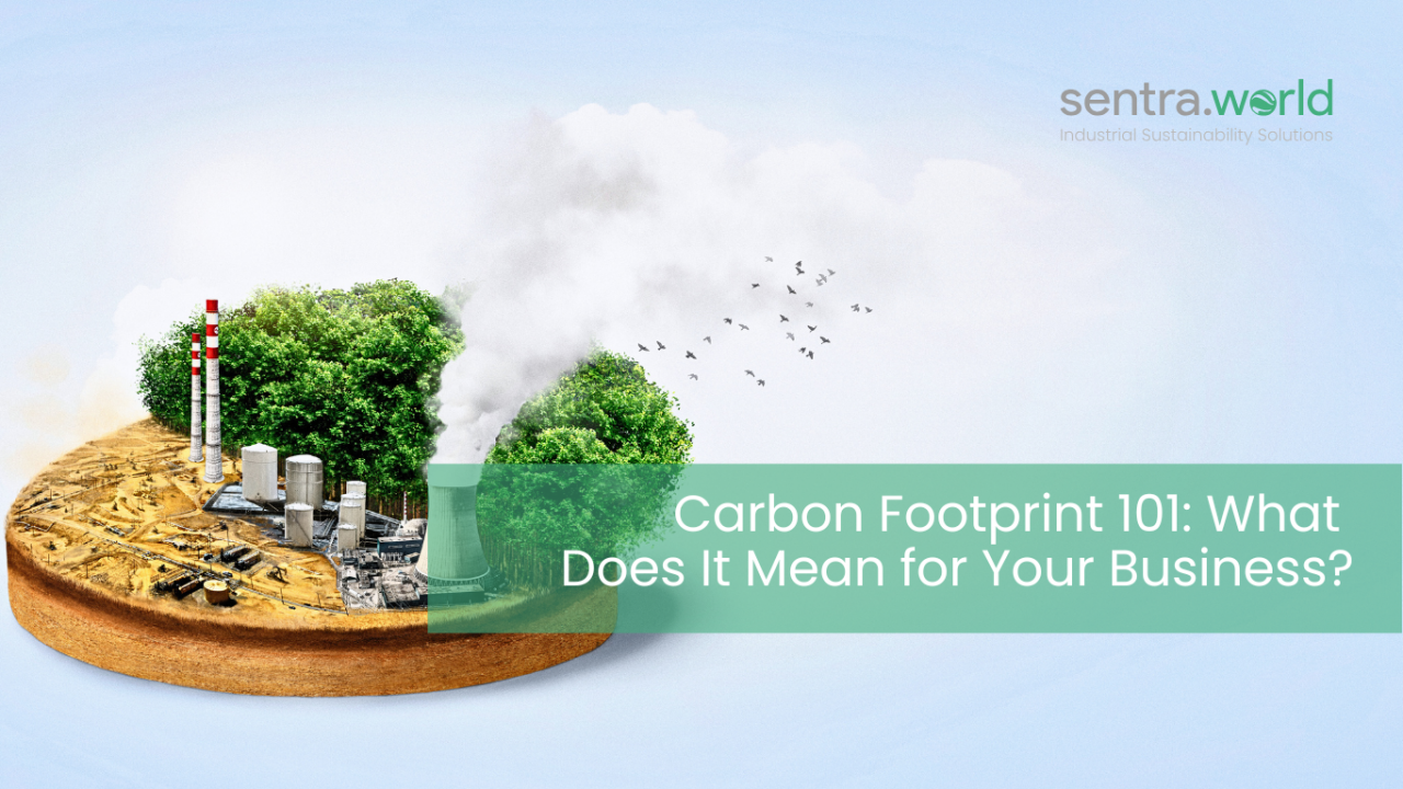 Carbon Footprint 101: What Does It Mean for Your Business?