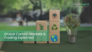 Global Carbon Markets & Trading Explained