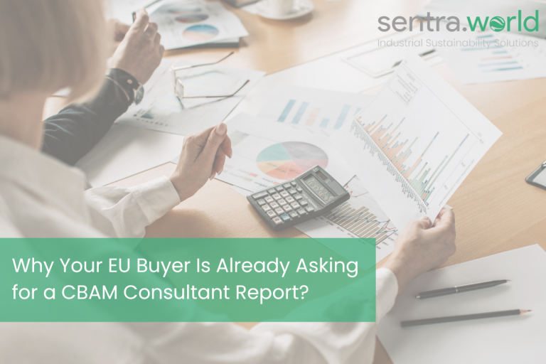CBAM Consultant