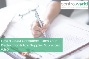 CBAM Consultant