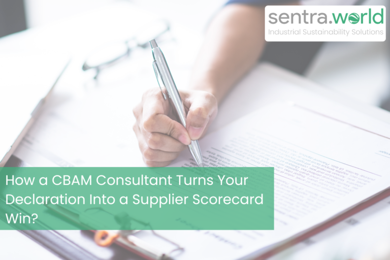 CBAM Consultant