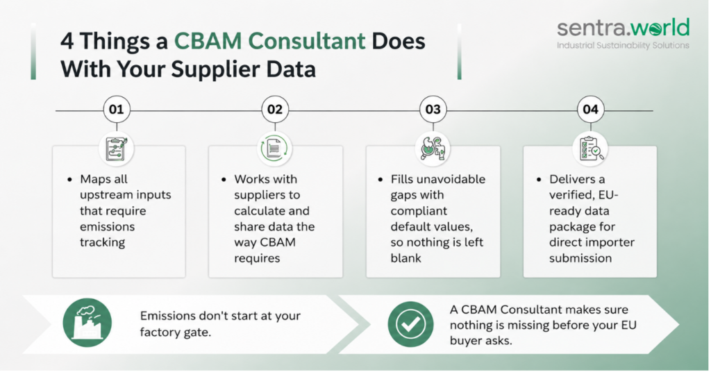 CBAM consultant