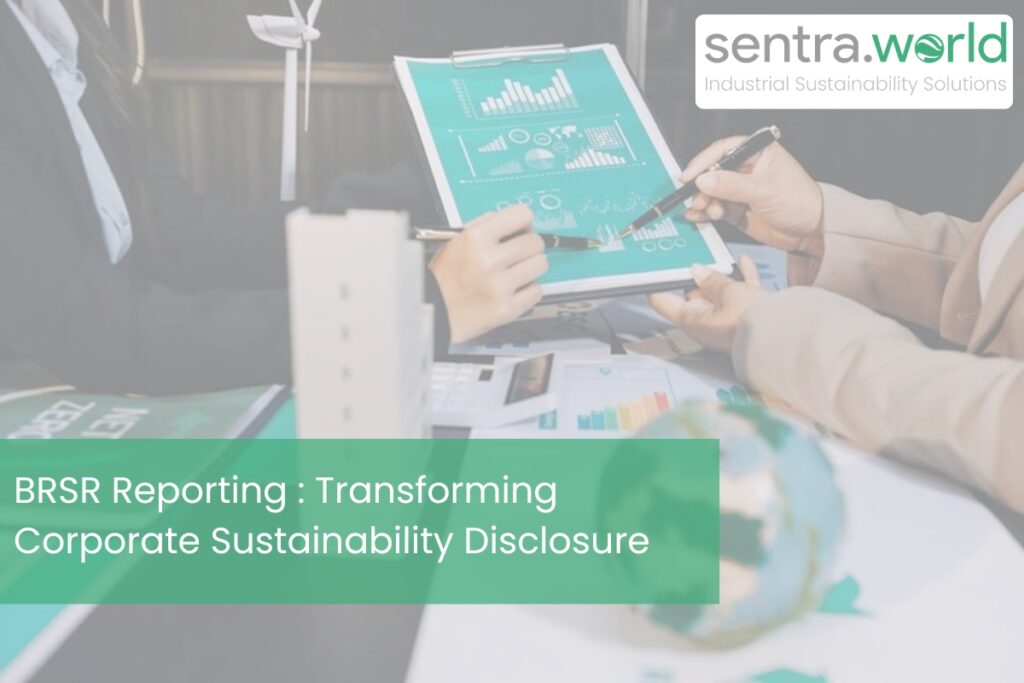 BRSR Reporting Solutions - India | sentra.world