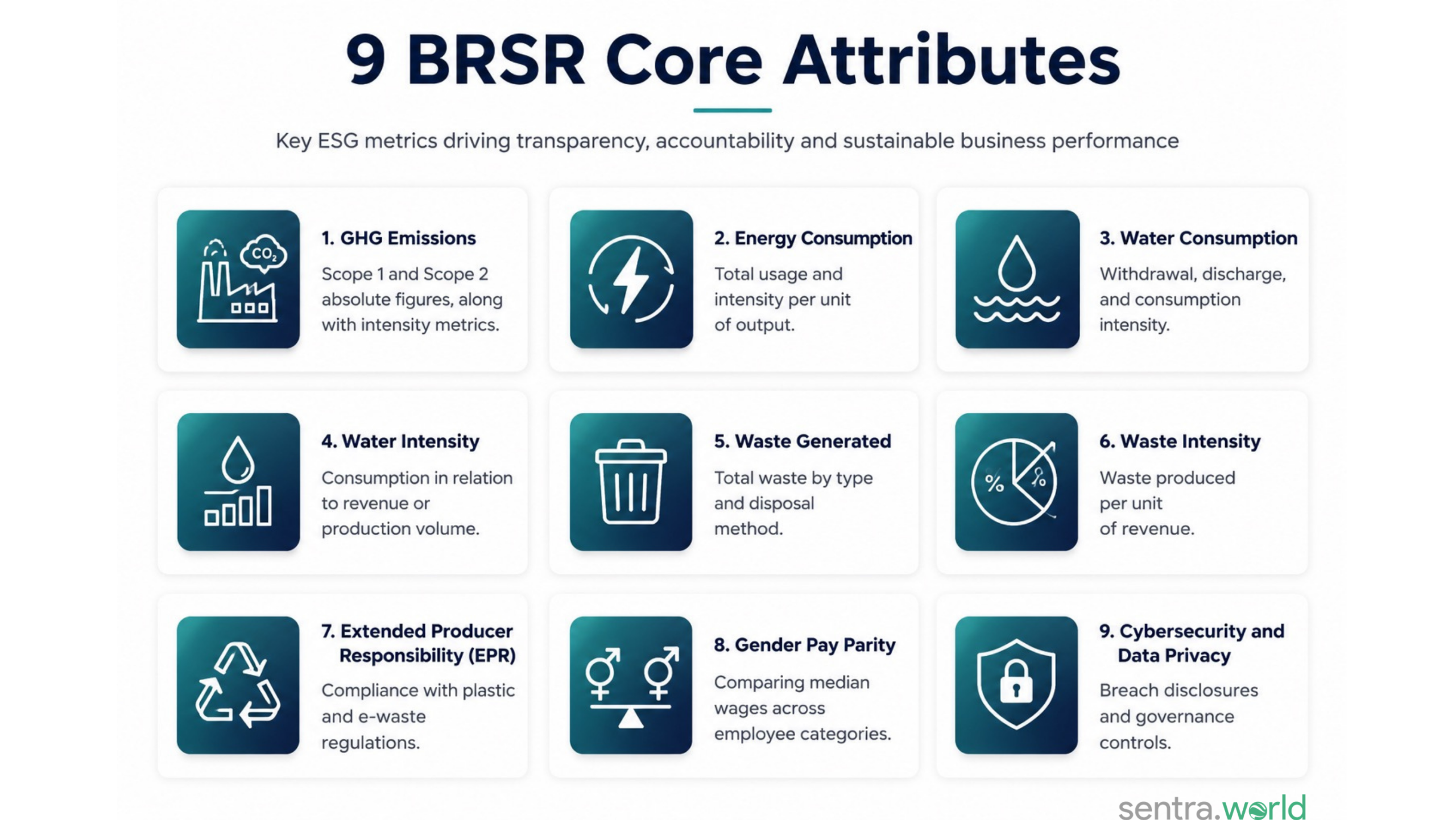 9 BRSR Core Attributes